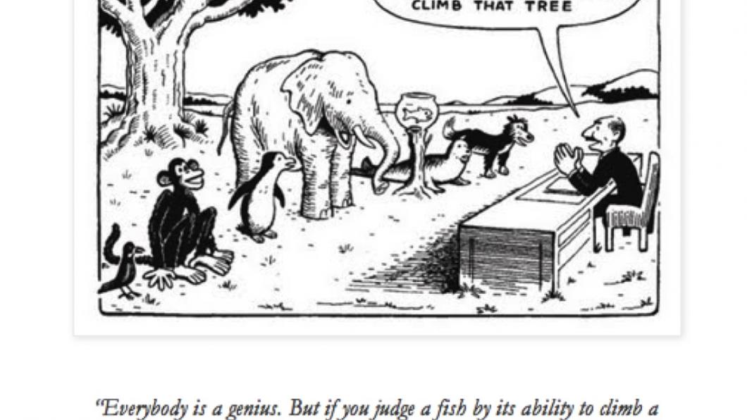 For-A-Fair-Selection-Everybody-Has-To-Take-The-Same-Exam.jpg